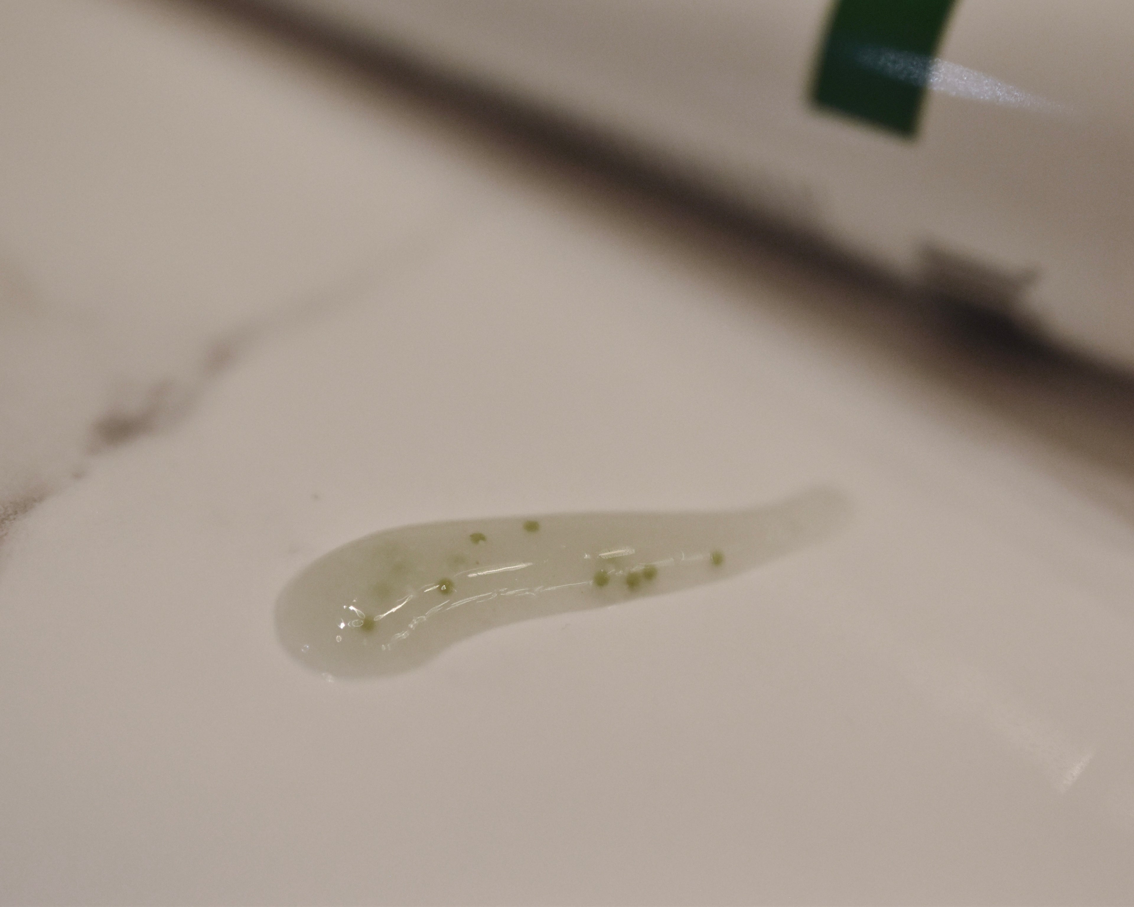 IMAGE ORMEDIC Balancing Gel Polisher